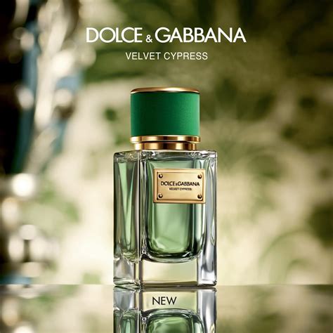 velvet cypress dolce gabbana prezzo|dolce gabbana velvet bergamot.